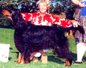 PICTURE: Ch. Buteos Delila